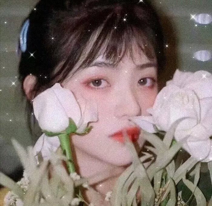 古诺希亚